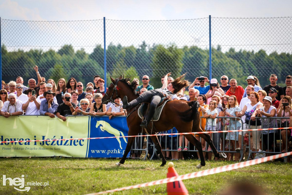 XII Parada Konna w Żarówce