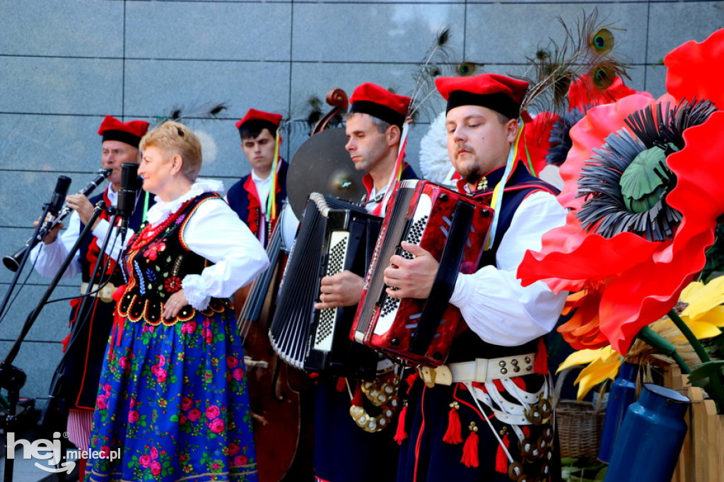 Dożynki powiatowe on-line