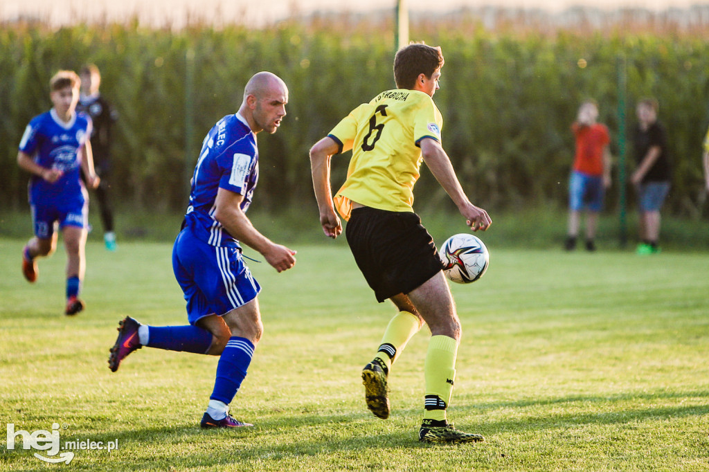 LKS Babicha -  Stal II Mielec
