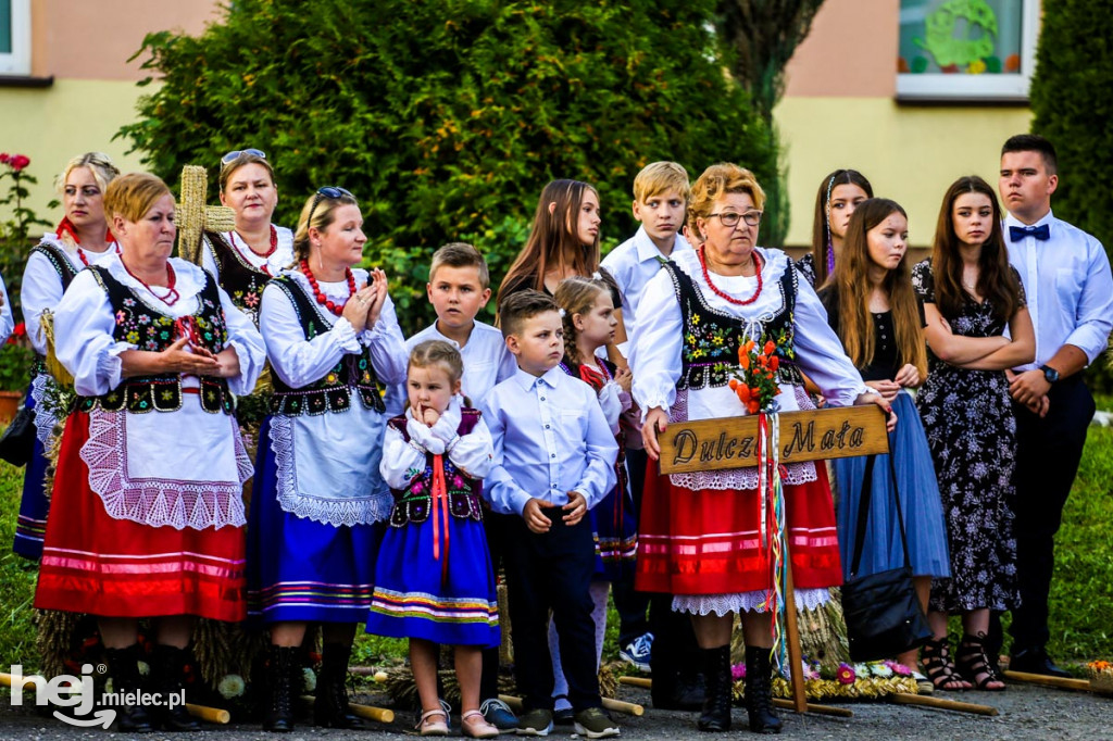 Dożynki w gminie Radomyśl Wielki