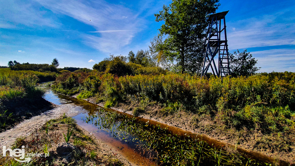 Strefa przemysłowa w Podborzu