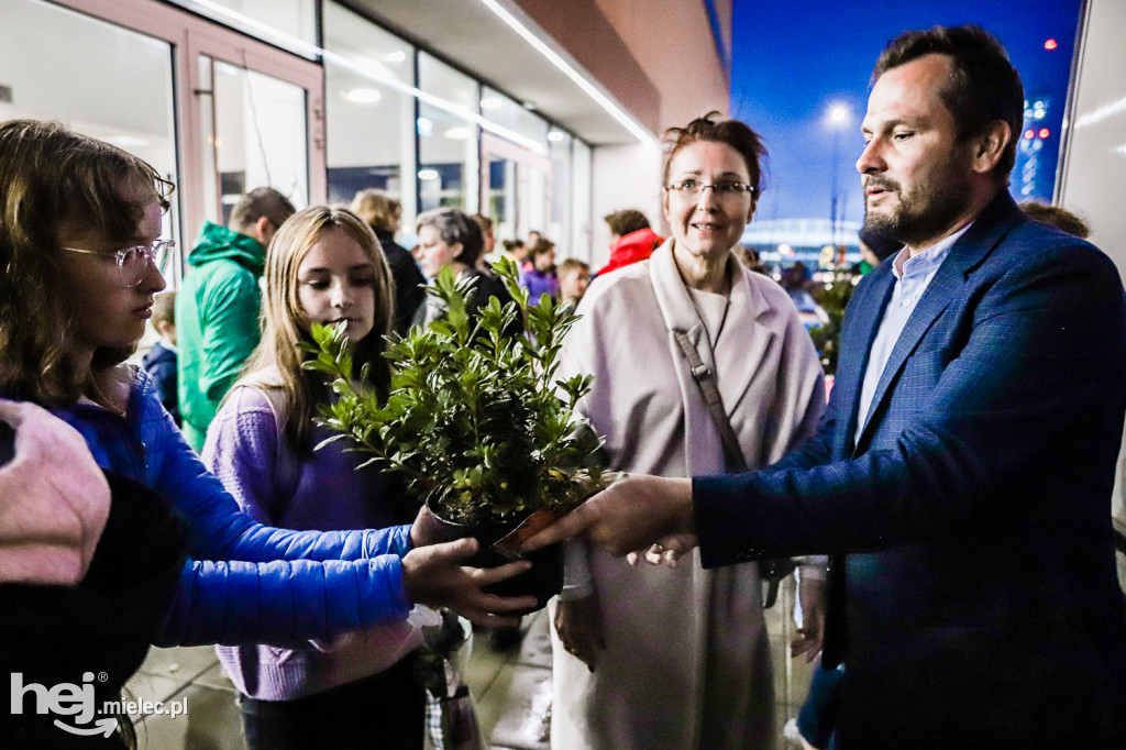 Sprzątali Mielec, otrzymali drzewka