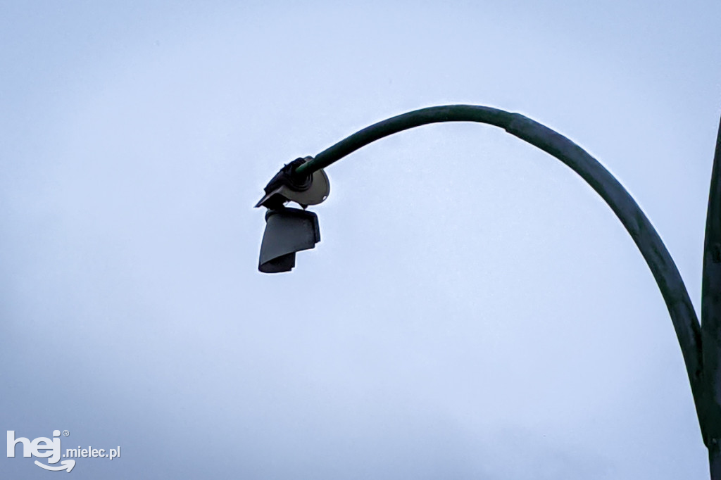 Lampa spadła na parking przy ul. Warneńczyka
