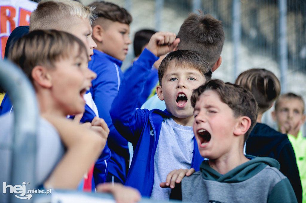 Cracovia - PGE FKS Stal Mielec