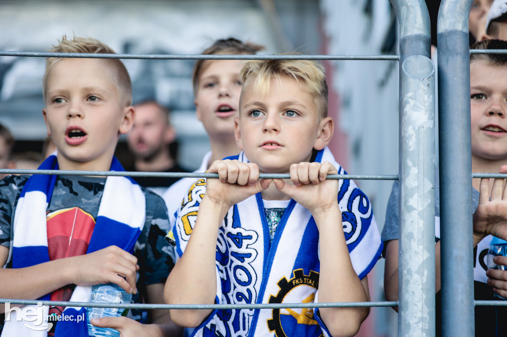 Cracovia - PGE FKS Stal Mielec