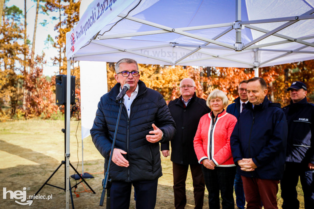 Sadzenie drzew na nowym parkingu Lesiówka