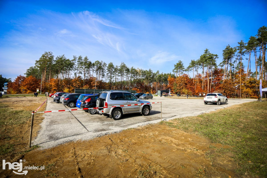 Sadzenie drzew na nowym parkingu Lesiówka