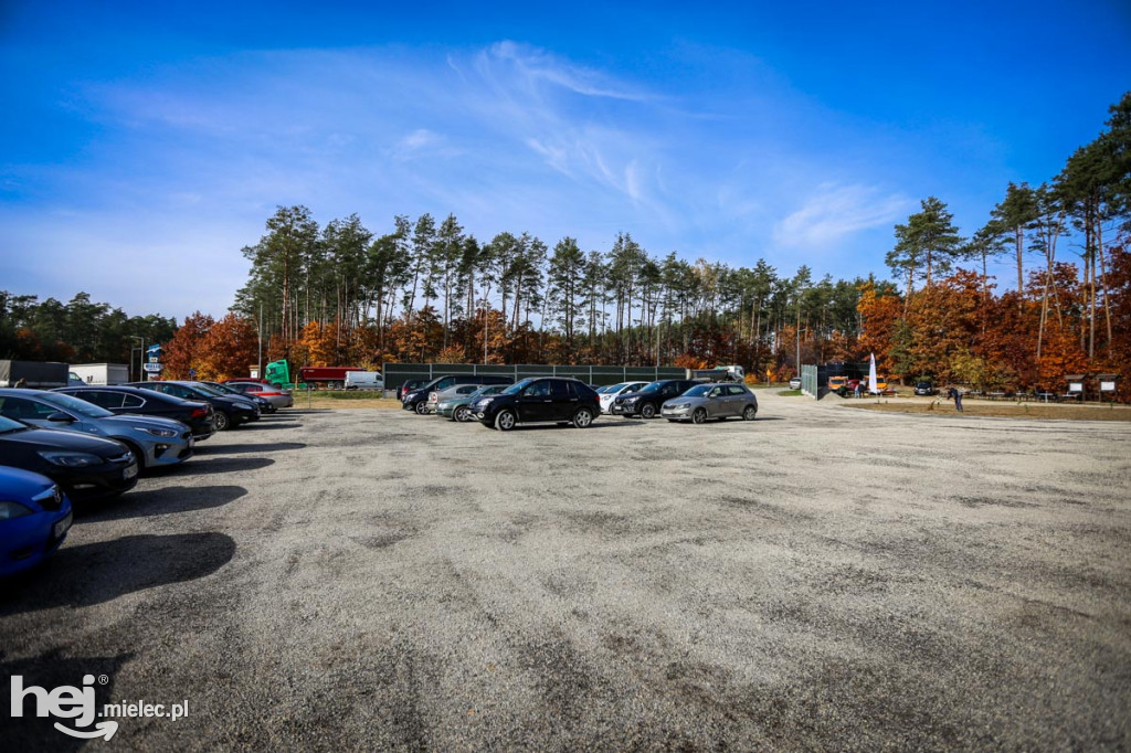 Sadzenie drzew na nowym parkingu Lesiówka