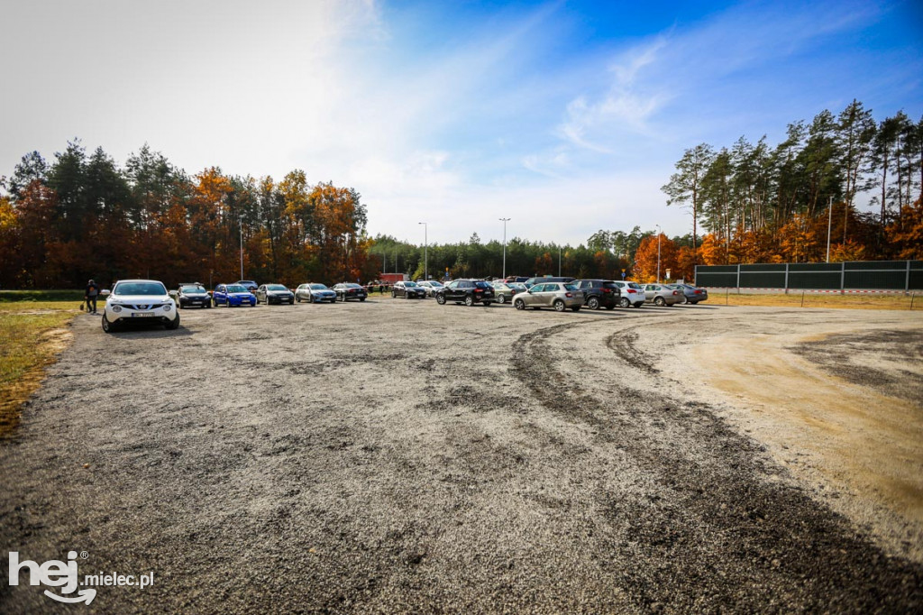 Sadzenie drzew na nowym parkingu Lesiówka