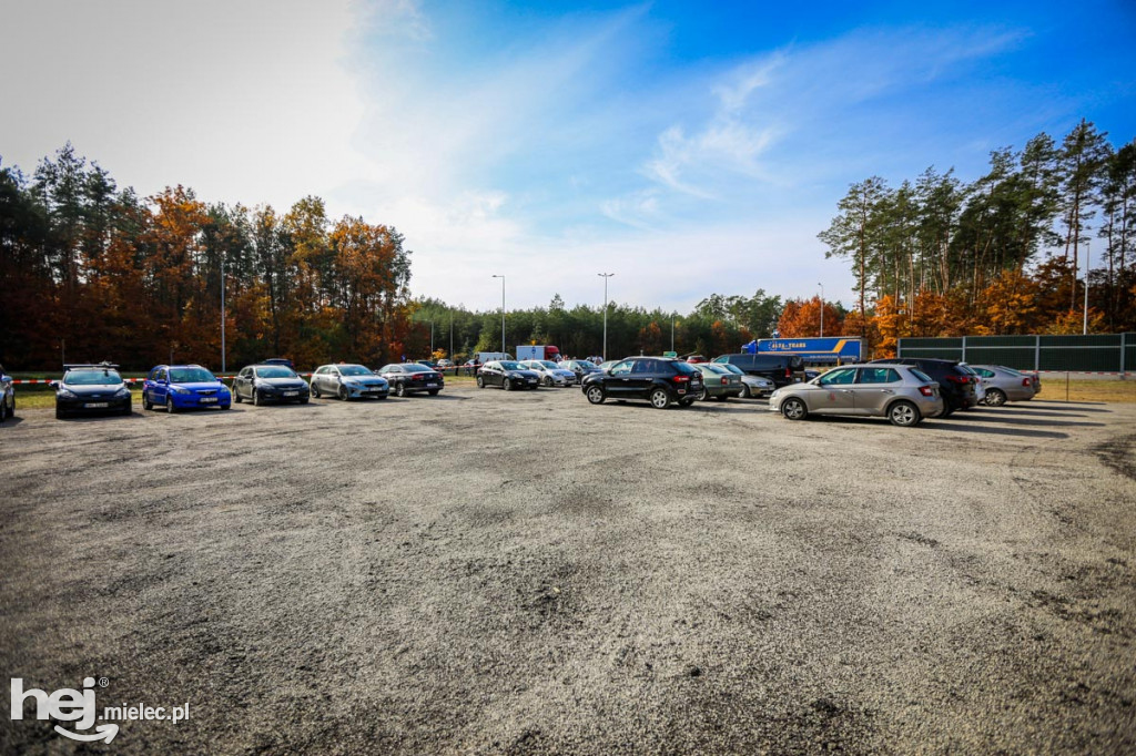 Sadzenie drzew na nowym parkingu Lesiówka