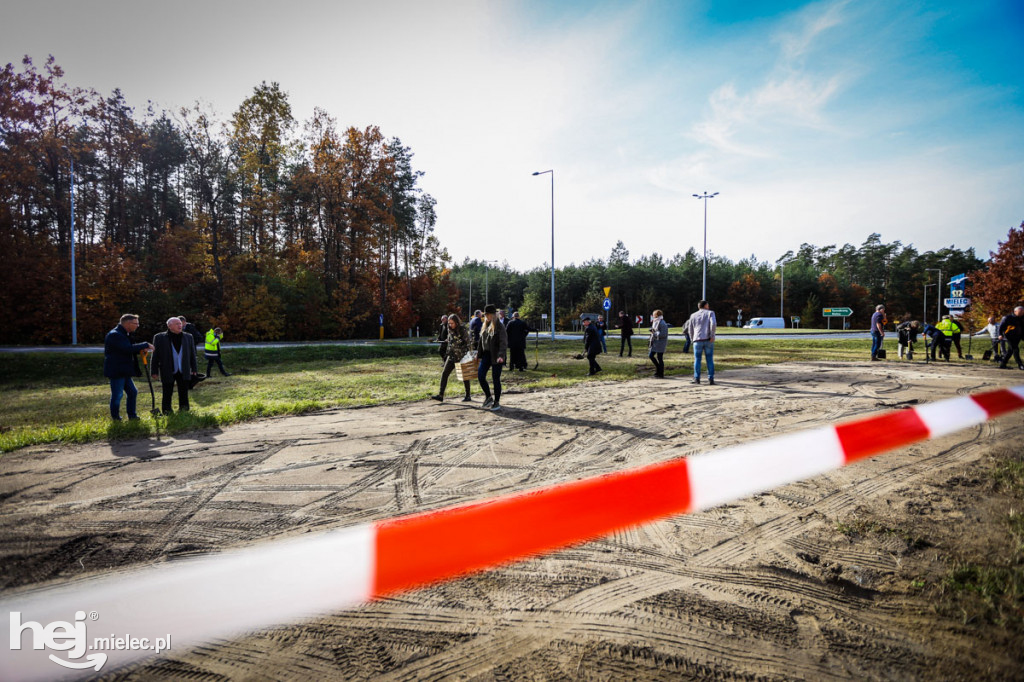 Sadzenie drzew na nowym parkingu Lesiówka