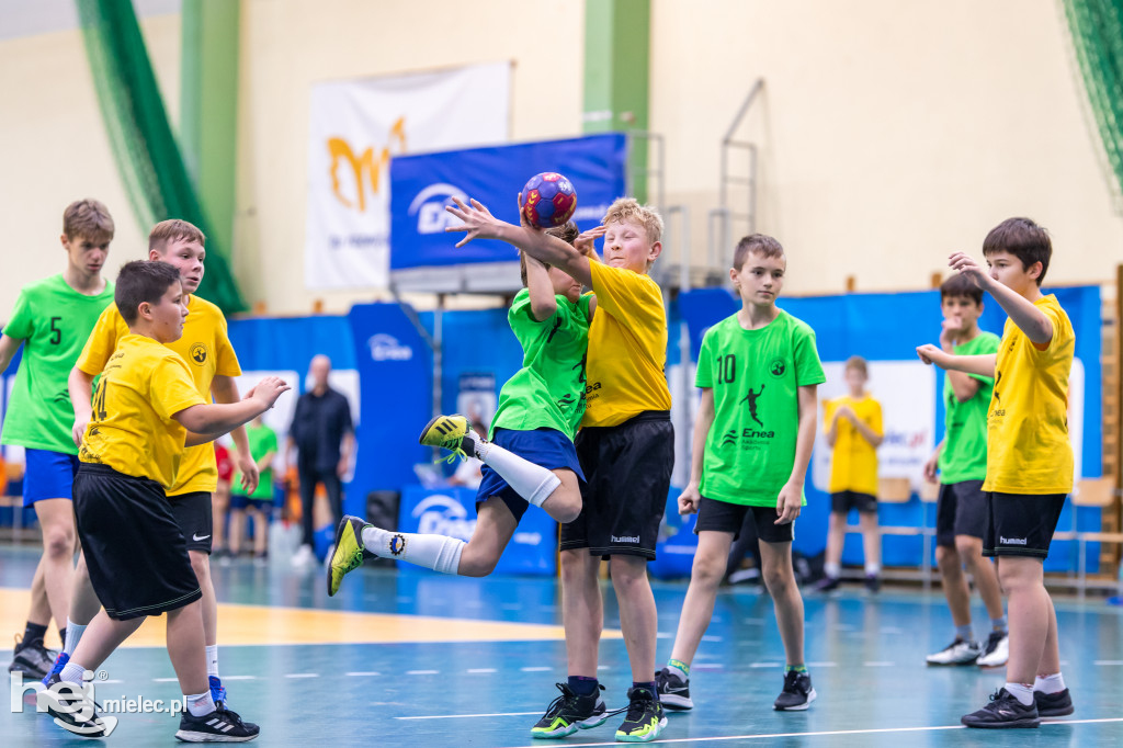Enea Cup po raz piąty