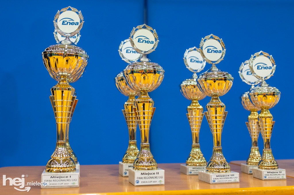 Enea Cup po raz piąty