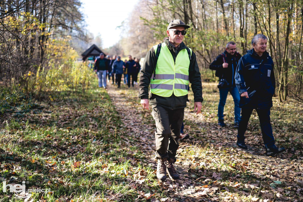 Firma KIRCHHOFF Polska posadziła las