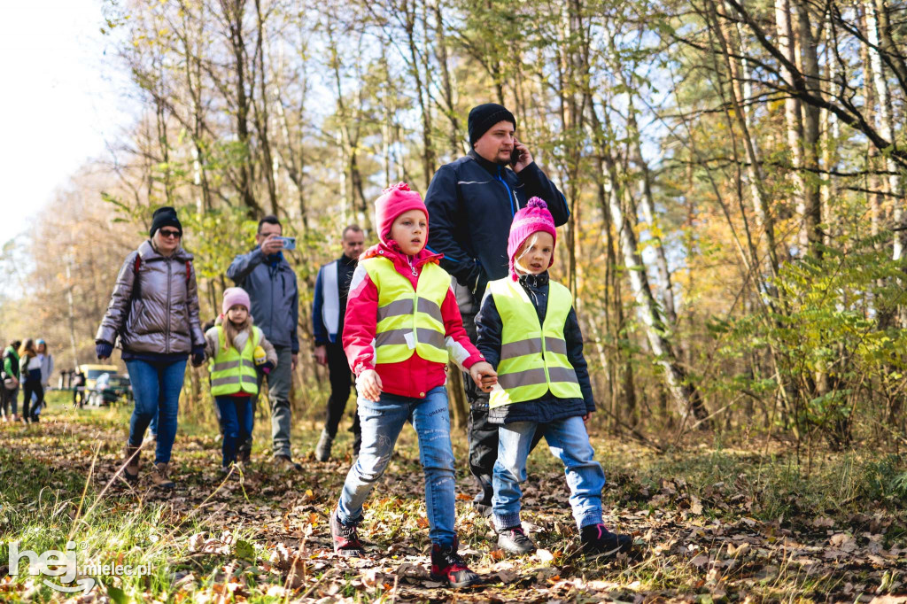 Firma KIRCHHOFF Polska posadziła las