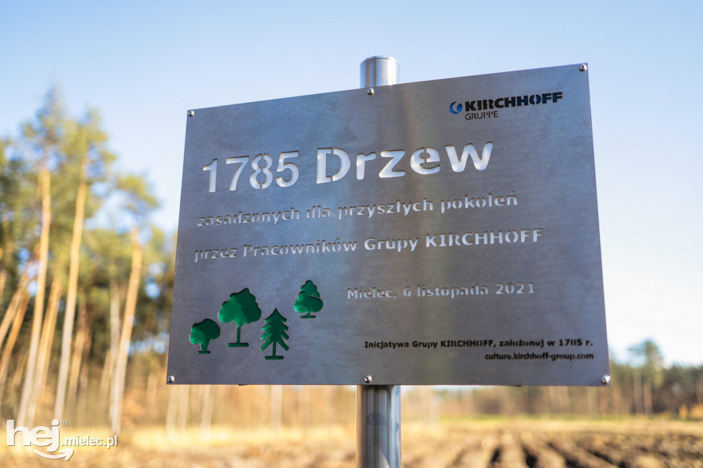 Firma KIRCHHOFF Polska posadziła las
