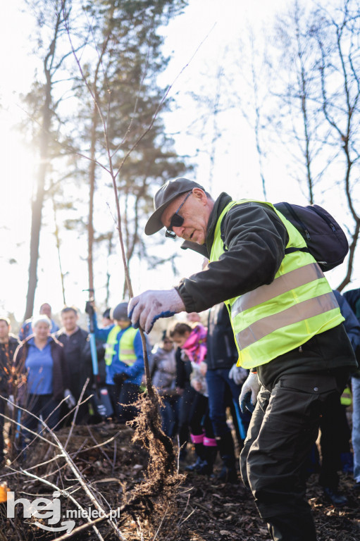 Firma KIRCHHOFF Polska posadziła las