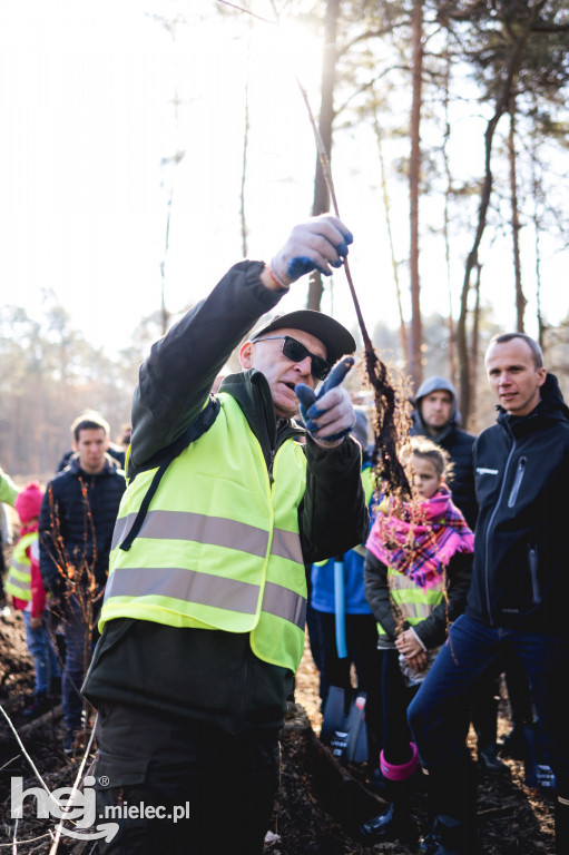 Firma KIRCHHOFF Polska posadziła las