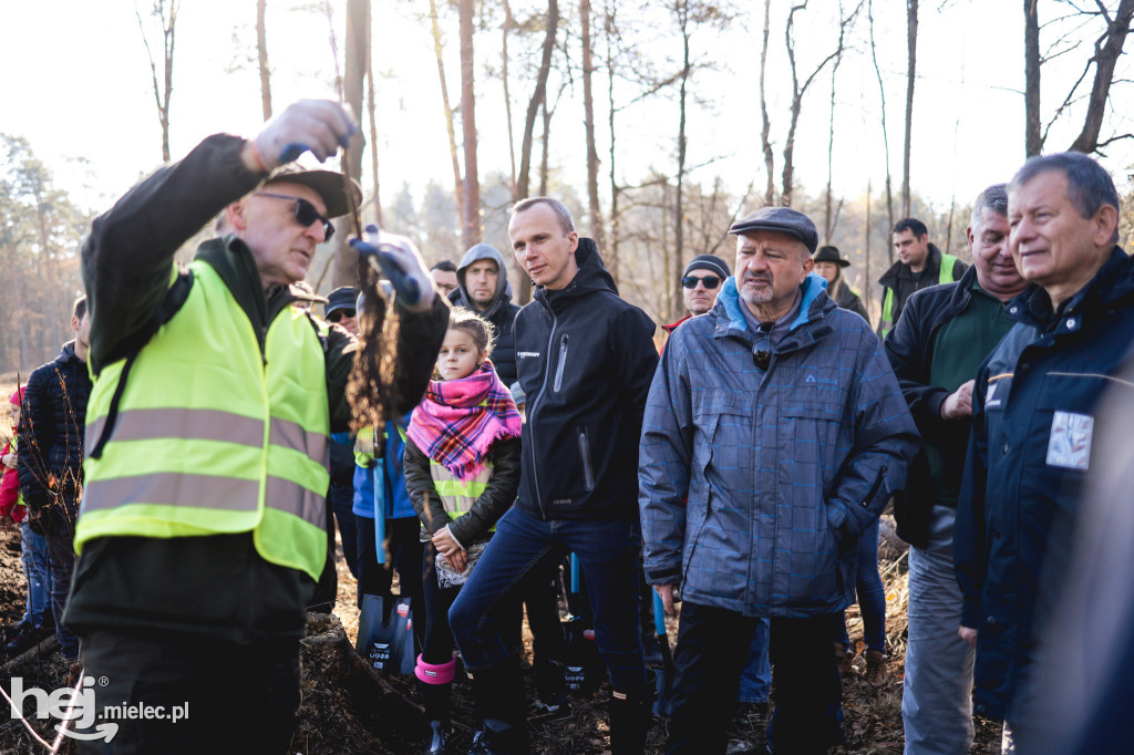 Firma KIRCHHOFF Polska posadziła las