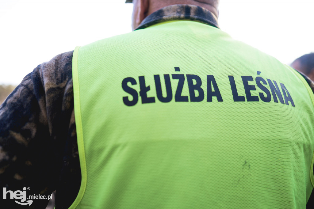 Firma KIRCHHOFF Polska posadziła las