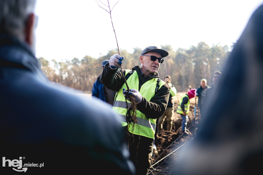 Firma KIRCHHOFF Polska posadziła las