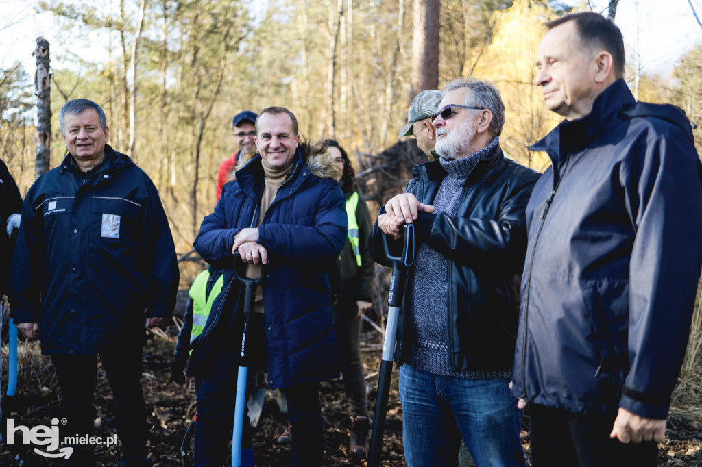 Firma KIRCHHOFF Polska posadziła las