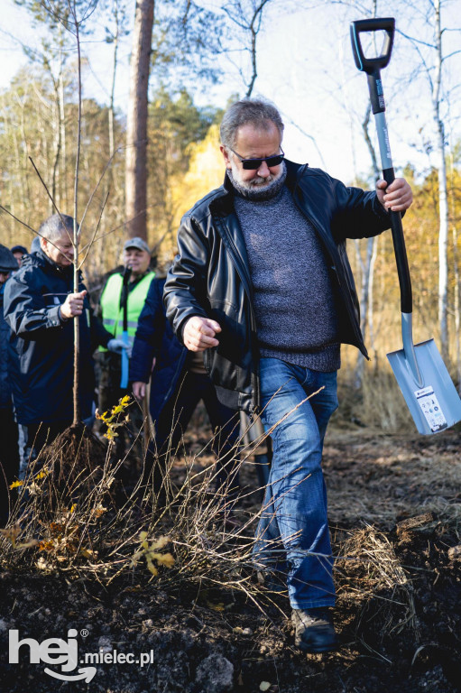 Firma KIRCHHOFF Polska posadziła las