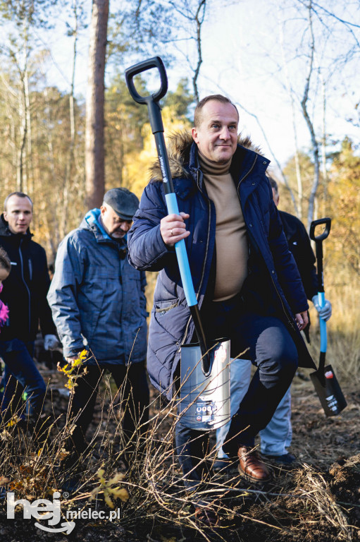 Firma KIRCHHOFF Polska posadziła las