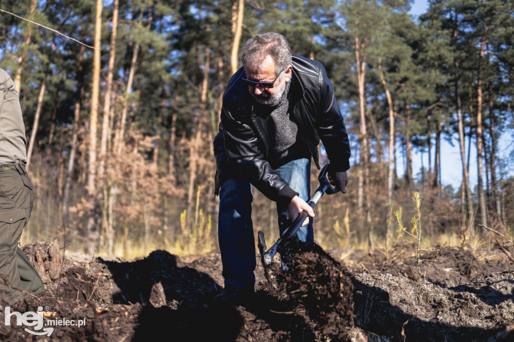 Firma KIRCHHOFF Polska posadziła las