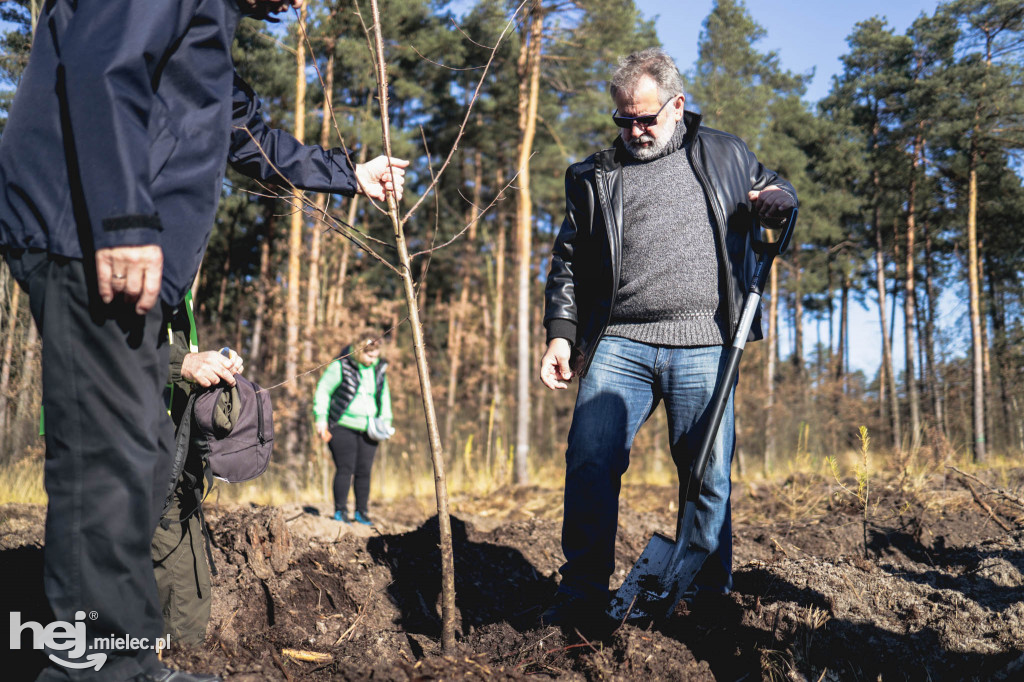 Firma KIRCHHOFF Polska posadziła las