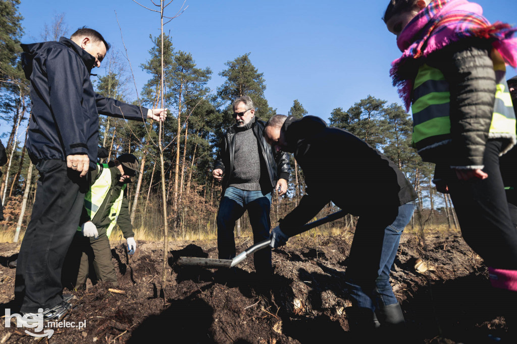 Firma KIRCHHOFF Polska posadziła las