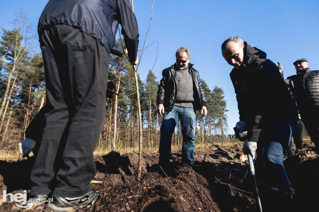 Firma KIRCHHOFF Polska posadziła las