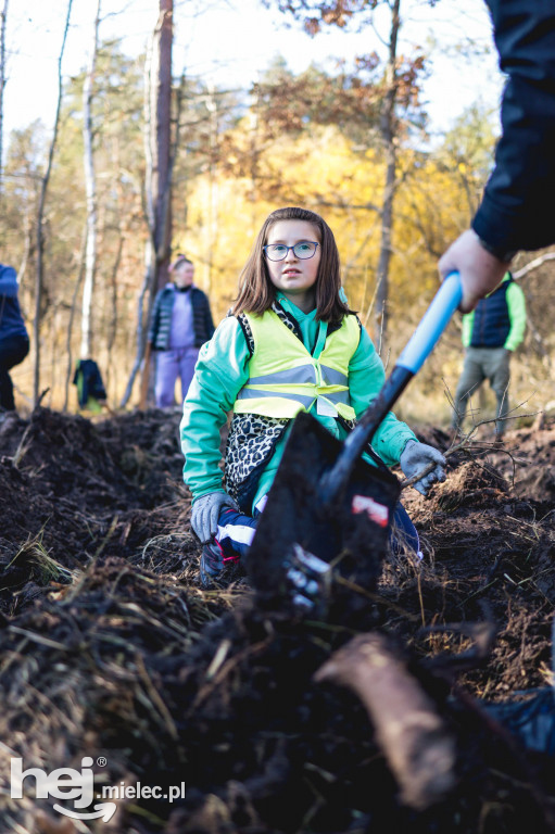 Firma KIRCHHOFF Polska posadziła las