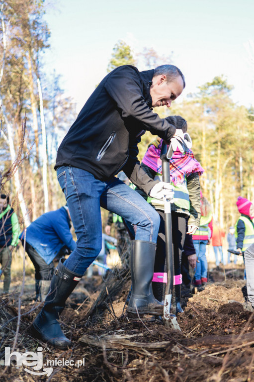 Firma KIRCHHOFF Polska posadziła las