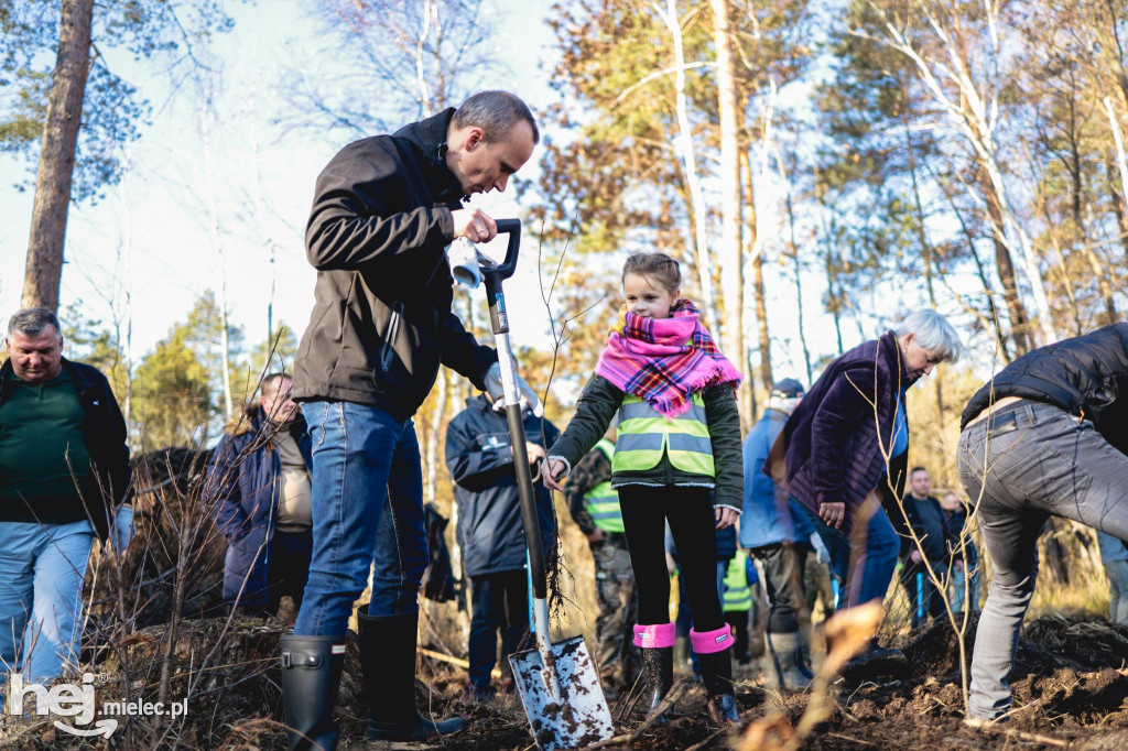 Firma KIRCHHOFF Polska posadziła las