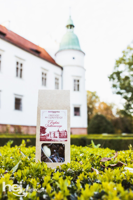 Poznaj zamkową kawę w Baranowie Sandomierskim