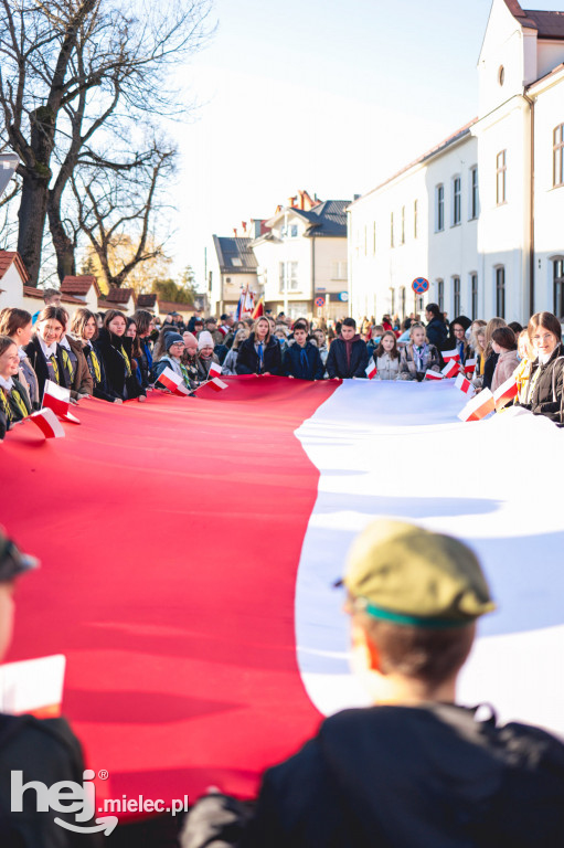 Obchody Święta Niepodległości w Mielcu