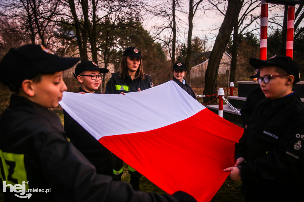 Święto Niepodległości w gminie Wadowice Górne