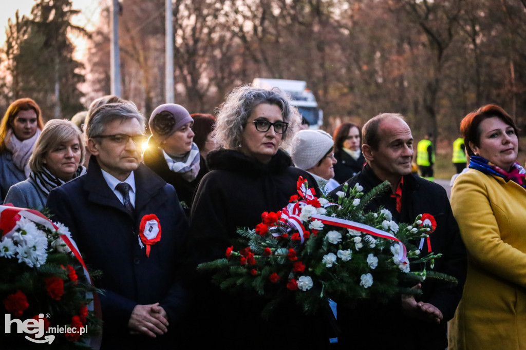 Święto Niepodległości w gminie Wadowice Górne