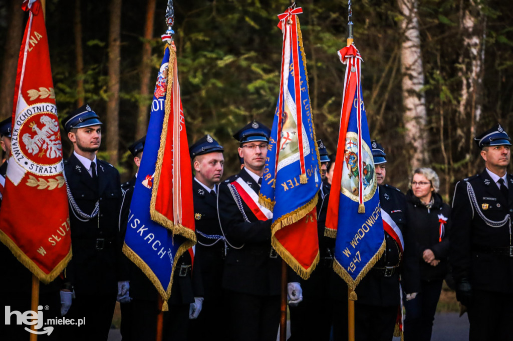 Święto Niepodległości w gminie Wadowice Górne