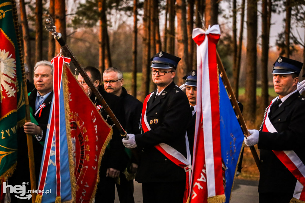 Święto Niepodległości w gminie Wadowice Górne