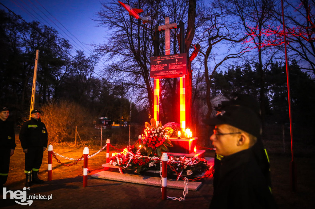 Święto Niepodległości w gminie Wadowice Górne