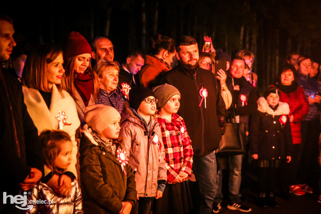 Święto Niepodległości w gminie Wadowice Górne