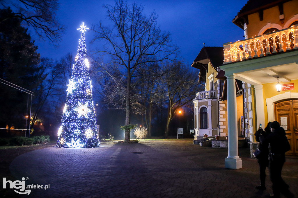 Świąteczne iluminacje na ulicach Mielca