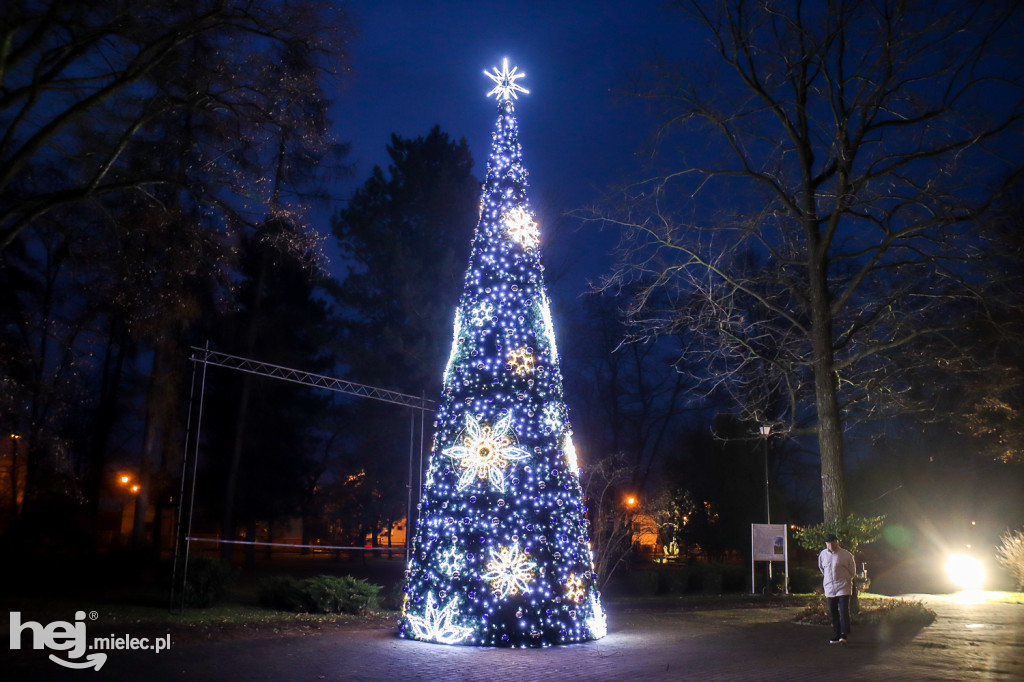 Świąteczne iluminacje na ulicach Mielca