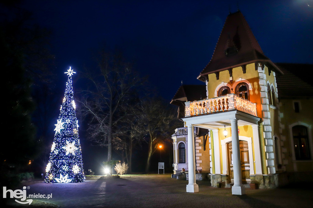 Świąteczne iluminacje na ulicach Mielca