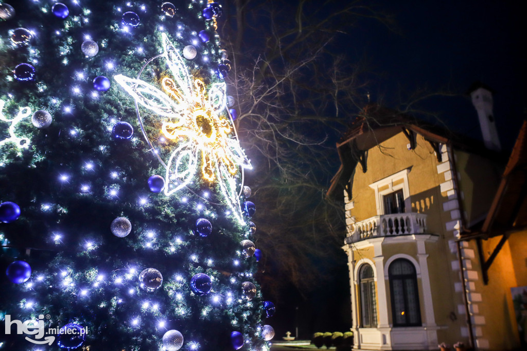 Świąteczne iluminacje na ulicach Mielca
