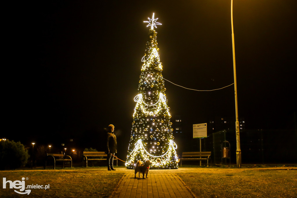 Świąteczne iluminacje na ulicach Mielca