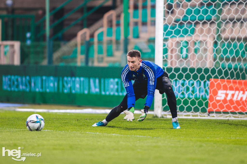Górnik Łęczna - PGE FKS Stal Mielec