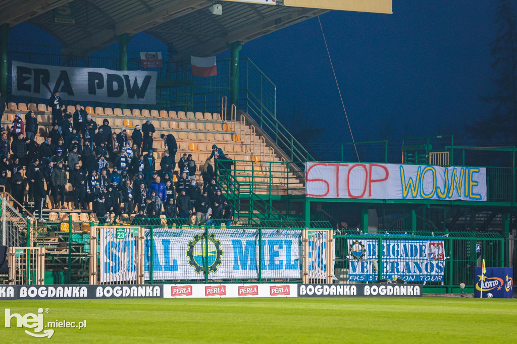 Górnik Łęczna - PGE FKS Stal Mielec